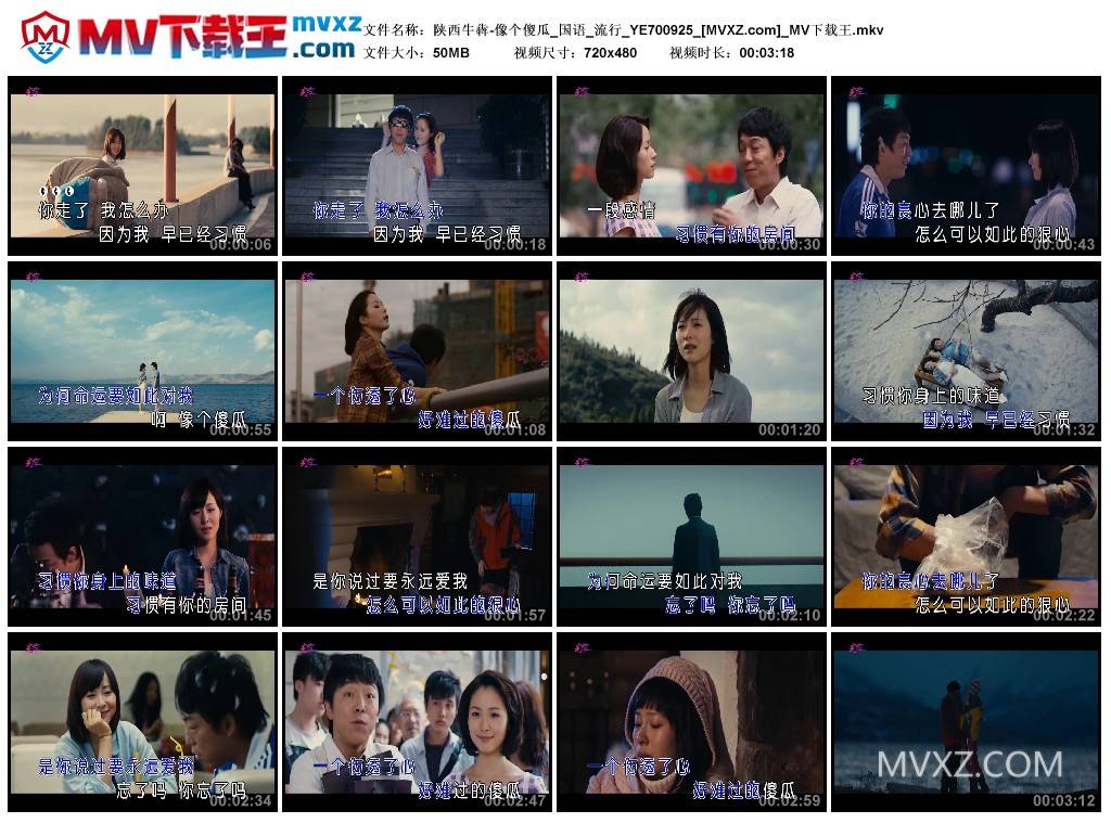 陕西牛犇-像个傻瓜_国语_流行_YE700925